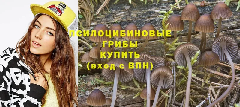 МЕГА зеркало  Нижнеудинск  Галлюциногенные грибы MAGIC MUSHROOMS 